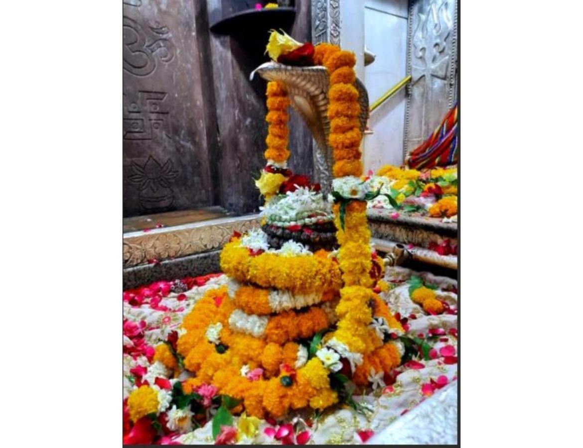 Hotel Shri Nivasa Inn, Kothi Godarpura Eksteriør bilde